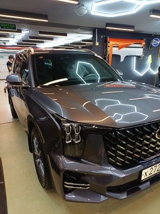 Оклейка GAC GS8 зон риска — Тип Топ